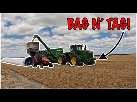 Let the bagging begin | Harvest 2025 | Western Australia