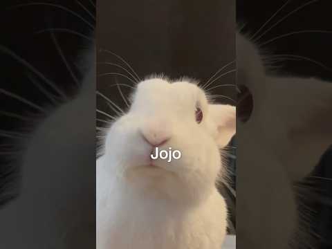 making my brother a christmas gift inspired by @jojoisarabbit