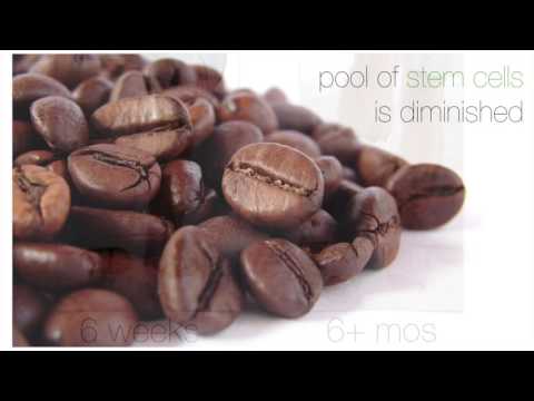 Aging Is Not Inevitable: Are Stem Cells the Fountain of Youth?