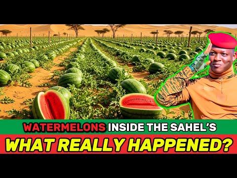 What’s Really Behind This Crazy Watermelon Experiment in Dry Burkina Faso?