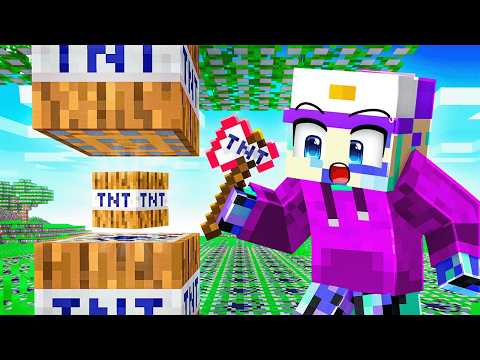 Minecraft, But The World Is TNT!