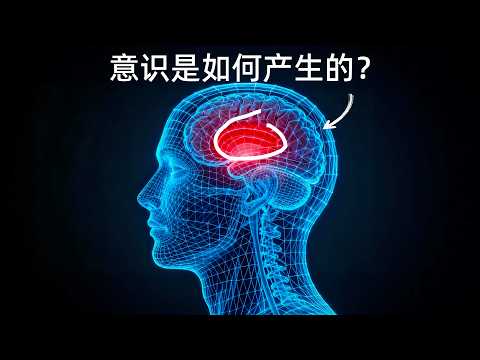 你的头骨里一片漆黑，这团像豆腐一样的物质，如何编造了整个世界？｜意识起源｜睡前科学故事