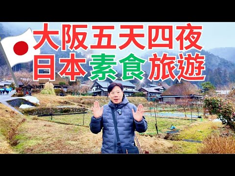 日本素食旅遊！大阪五天四夜全記錄，別再說素食者出國只能吃泡麵😤｜Vegetarian Travel in Osaka｜大阪城公園、心齋橋、金閣寺、平等院，奈良公園、天橋立、美山町合掌村...等景點