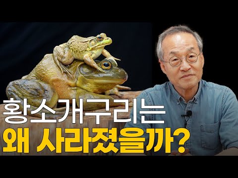 Invasion of Alien Species? Incidents Caused by the Invasion of Alien Species! / Choi Jae-cheon's ...