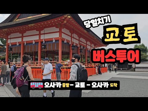 [Japan] Seeing Kyoto from Osaka in a Day? I Tried It! l Osaka Solo Travel Vlog [2/3]