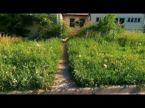 ATTACKED This ABANDONED Nuisance Full Of Squatters