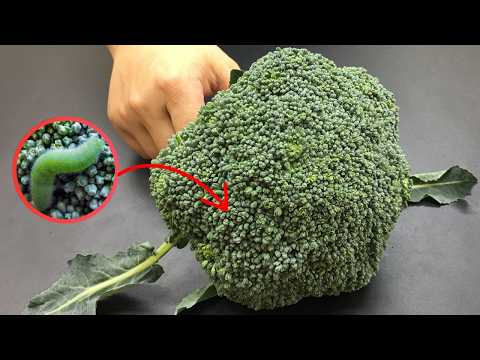 Washing Broccoli with Just Water Is Wrong!  Here’s the Right Way! | Top DIY