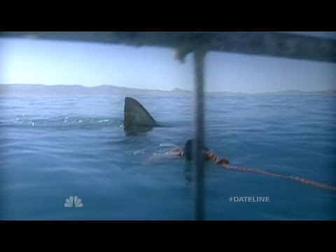 Dateline Survivor: Jaws! | Dateline NBC