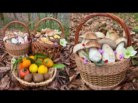 СЕНСАЦИЯ 12 ДЕКАБРЯ‼️ БЕЛЫЕ ГРИБЫ и ПОДОСИНОВИКИ, МАСЛЯТА и ПОДСНЕЖНИКИ, САРКОСЦИФЫ ЦИКЛАМЕНЫ ЗИМОЙ!