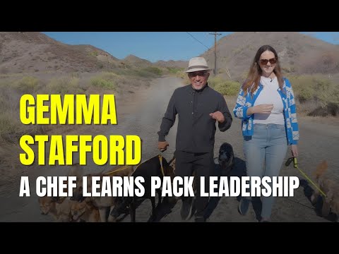 Walking With Cesar Ep. 11 - Gemma Stafford (Bigger Bolder Baking)