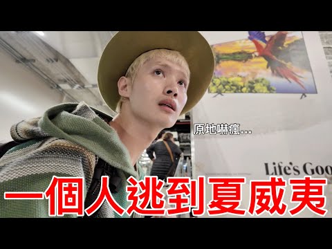 一個人逃到夏威夷！