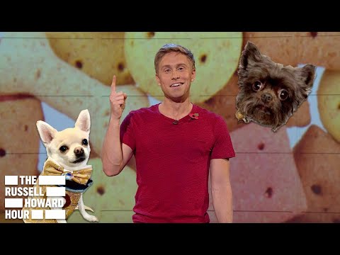 Should These Owners Be Allowed Dogs? | The Russell Howard Hour Compilation