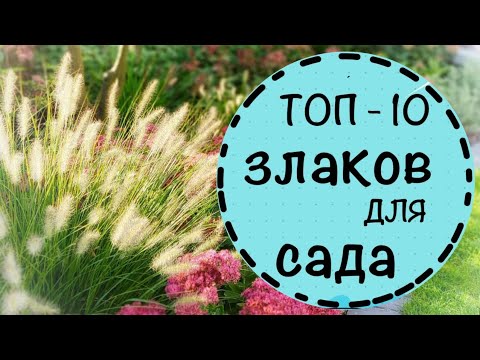 ☘️ТОП 10 самых любимых и не любимых злаков. ☘️С чем сочетать? Что учесть?☘️Октябрь 2022☘️Германия☘️
