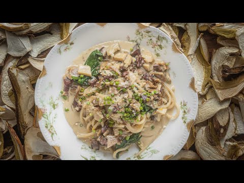 Dried Porcini Pastas