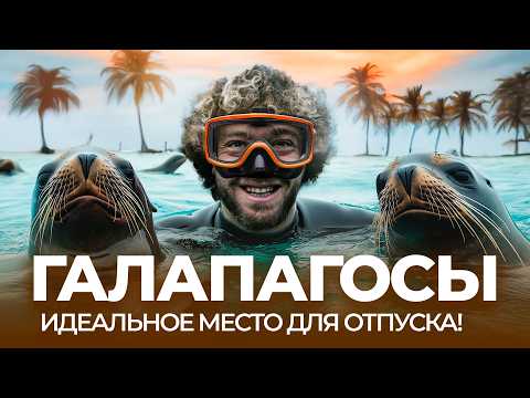Галапагосы: райское место для отдыха | Тихий океан, природа, животные, пляжи, мусор и туристы