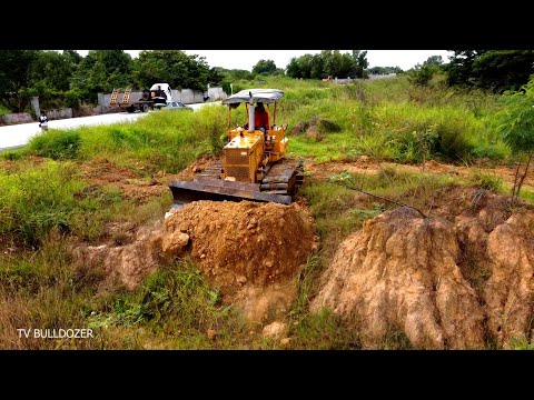 Wonderful Project CLEARING FOREST & LANDS By Skill Driver Dozer D31P Pushing FOREST & LANDS & GRASS