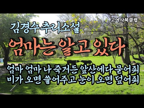 엄마의 젖가슴에 얼굴을 묻고 잠들고 싶다.  가슴 저린 세 모녀 이야기....    김경수 추리소설  ' 엄마는 알고 있다 '  / 한국추리소설