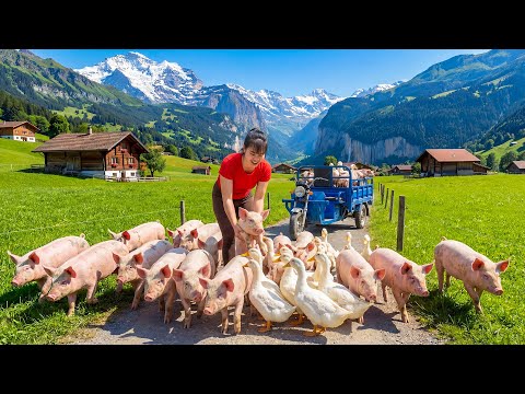TIMELAPSE -- Buy Many Giant Piglets & Ducklings from Abandoned Farm | Cooking Marinated Black Pork
