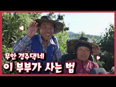 [남도지오그래피] 이 부부가 사는 법, 무안 경주댁네｜KBS 220711 방송