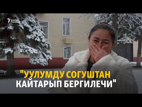 Уулун Украинадагы согуштан издеген эне