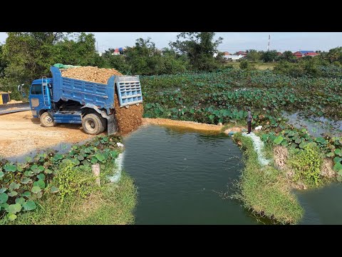 Prosecc Landfill Update New Project!Building Road Truck Loading ln lake,Expert Dozer D21 Pushingsoil
