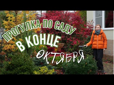 Прогулка по саду в октябре
