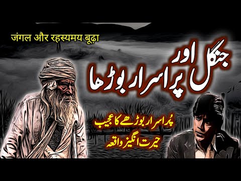 Jungle Aur Purisrar Burha | Urdu Hindi Horror Story | Urdu Galaxy