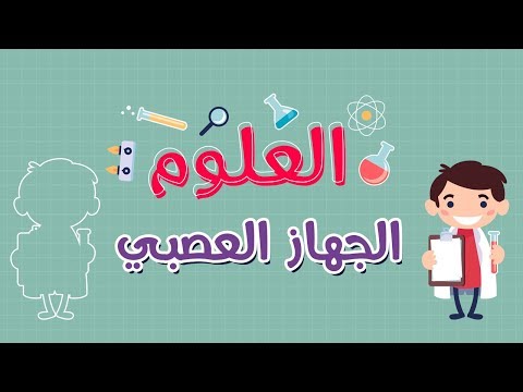 العلوم | الجهاز العصبي
