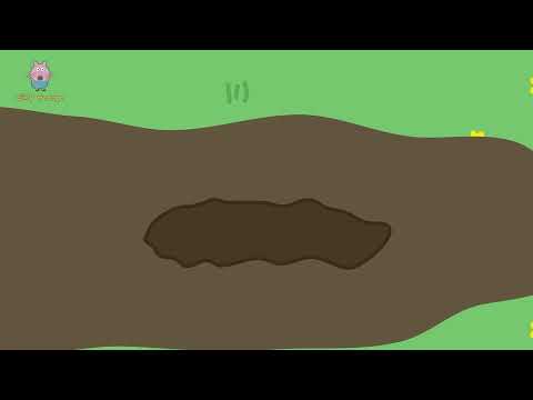 Silly George Live Stream