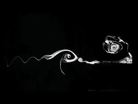 Professor Holger Babinsky: Surging cylinders, flapping wings and gust encounters...