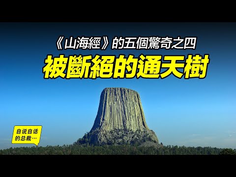 《山海經》的五個驚奇之四：被斷絕的通天樹，美國這顆高達400米的“樹墩化石”究竟是不是遠古通天樹的遺址？上古世界究竟有什麼樣的驚奇故事？|自說自話的總裁