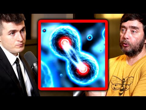 The secret to how the body works: Biologists explains bioelectricity | Michael Levin and Lex Fridman