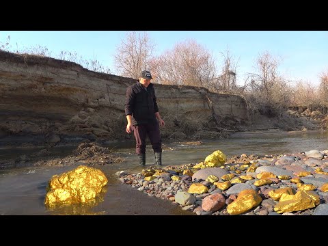 I'm shocked! Giant Gold Nugget Was Found by Accident in River!