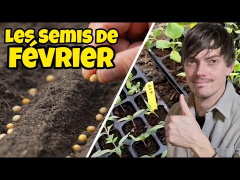 Février le MEILLEUR mois pour ces 9 SEMIS au potager
