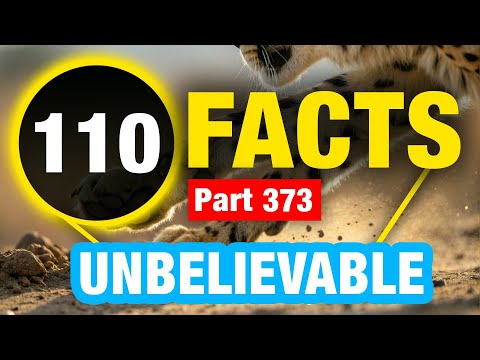 110 Fun Amazing Facts