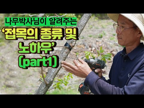 There's a grafting method available 365 days a year?? The surprisingly diverse and new world of g...