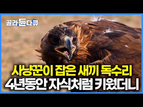 새끼 독수리 자식처럼 애지중지 키우면 어떻게 될까? 독수리 전문 사냥꾼의 놀라운 선택|세계테마기행|#골라듄다큐