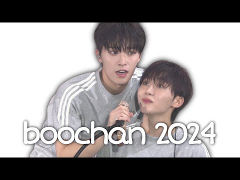 seungkwan & dino bickering in 2024