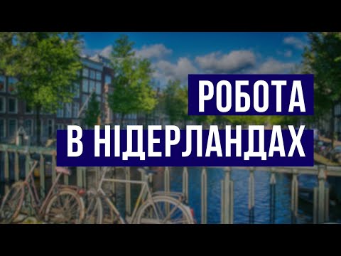 Все про роботу в Нідерландах