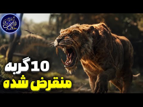 10 گربه وحشی و قدرتمند ماقبل تاریخ