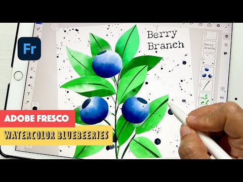 ADOBE FRESCO - Watercolor Blueberry Branch