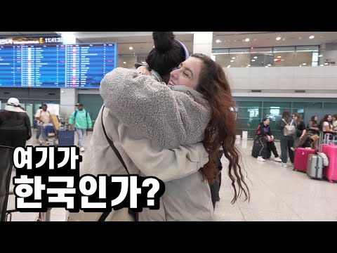 그리스 아내의 넷째 임신소식에 바로 한국으로 날아온 그녀