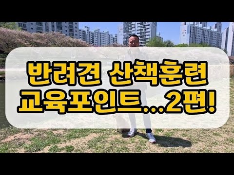 짖는 개.물려고 하는 개/산책훈련 교육 포인트...2편! #김재영훈련사#강아지훈련#강아지산책교육#산책할때짖는개#산책을못나가는개훈련