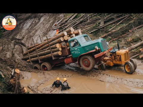 Compilation of Dangerous Idiots with Timber Trucks and Heavy Equipment Fails at Work #82