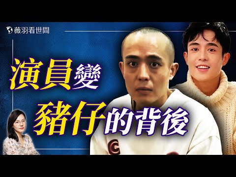 王星事件燎原！是誰在騙中國人去緬甸？真正的幕後大人物不得了！｜薇羽看世間 20250113