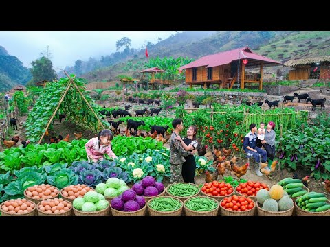 OFF-GRID Farming Was the Best Choice — Massive Harvest & SOLD OUT at the Market!