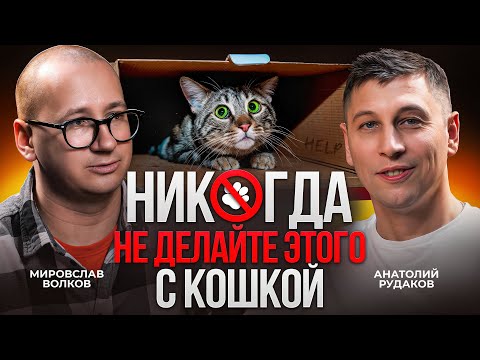 Простые истины о вашей кошке с зоопсихологом Мирославом Волковым / Лапы на стол