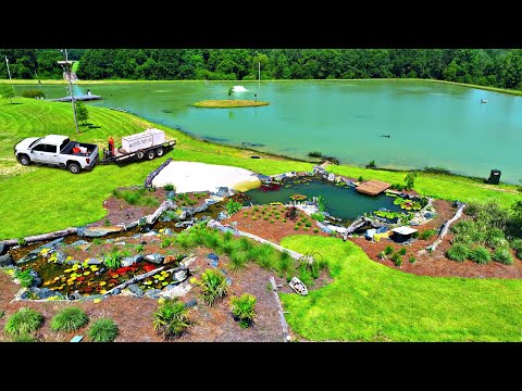 Adding 12,000 Fish to the 5 Acre Pond!