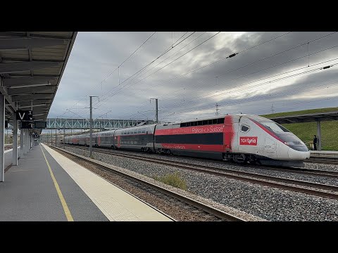 320 KM/H! SNCF TGV & Deutsche Bahn ICE 3 High Speed Rail Action on LGV Est @ Champagne-Ardenne TGV!
