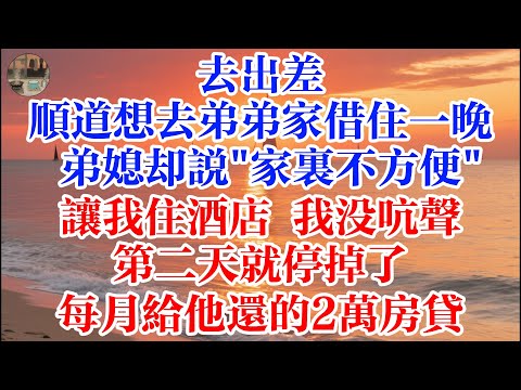 去出差 順道想去弟弟家借住一晚 弟媳卻說"家裏不方便"讓我住酒店 我沒吭聲 第二天就停掉了每月給他還的2萬房貸 #煙火故事匯 #婆媳 #家庭 #生活故事 #故事 #為人處世 #生活經驗 #情感故事